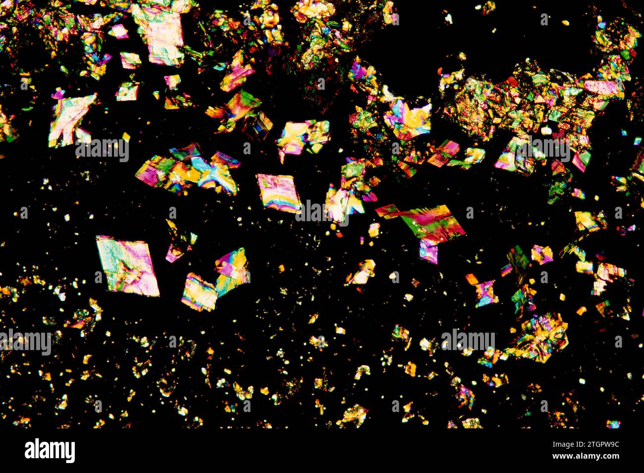Cristalli di L-fenilalanina. Luce polarizzata fotomicrografica. Foto Stock