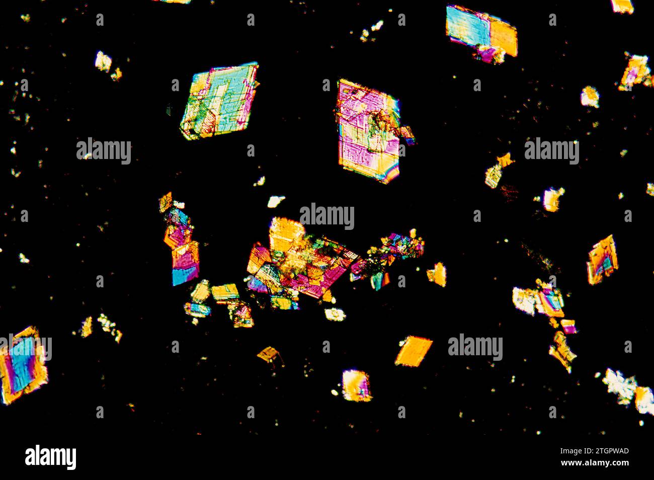 Cristalli di L-fenilalanina. Luce polarizzata fotomicrografica. Foto Stock