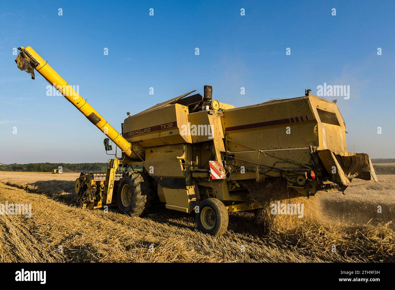 Gli agricoltori approfittano di qualche giorno senza pioggia per raccogliere i loro campi. I semi vengono versati direttamente in un camion. La mietitrebbia assicura un processo Foto Stock