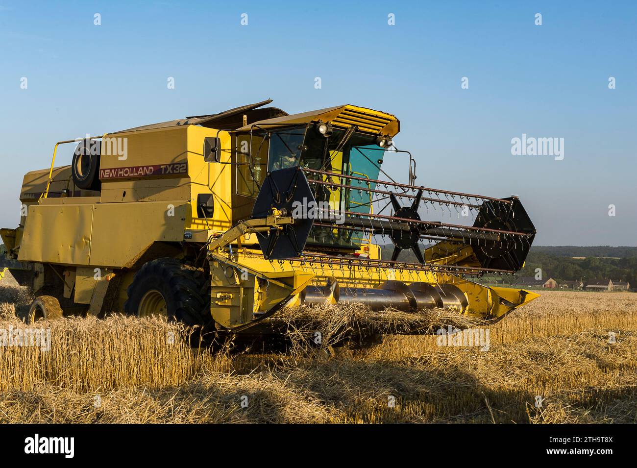 Gli agricoltori approfittano di qualche giorno senza pioggia per raccogliere i loro campi. I semi vengono versati direttamente in un camion. La mietitrebbia assicura un processo Foto Stock