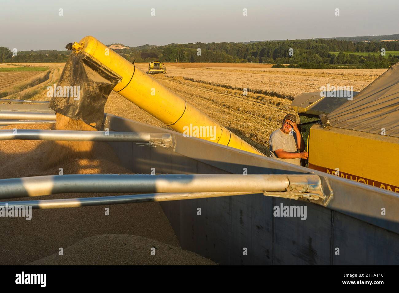 Gli agricoltori approfittano di qualche giorno senza pioggia per raccogliere i loro campi. I semi vengono versati direttamente in un camion. La mietitrebbia assicura un processo Foto Stock