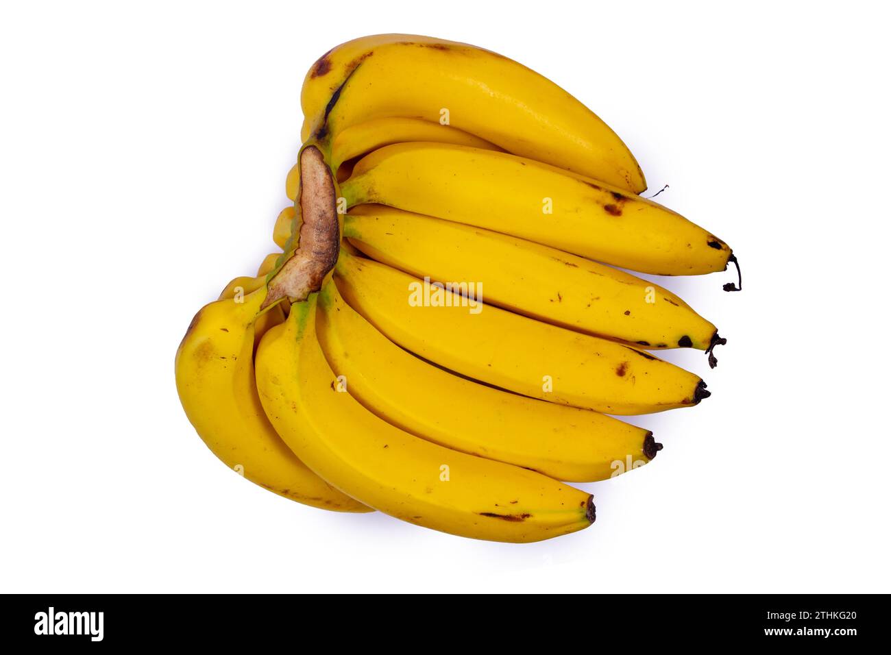 Banane fresche isolate su sfondo bianco Foto Stock