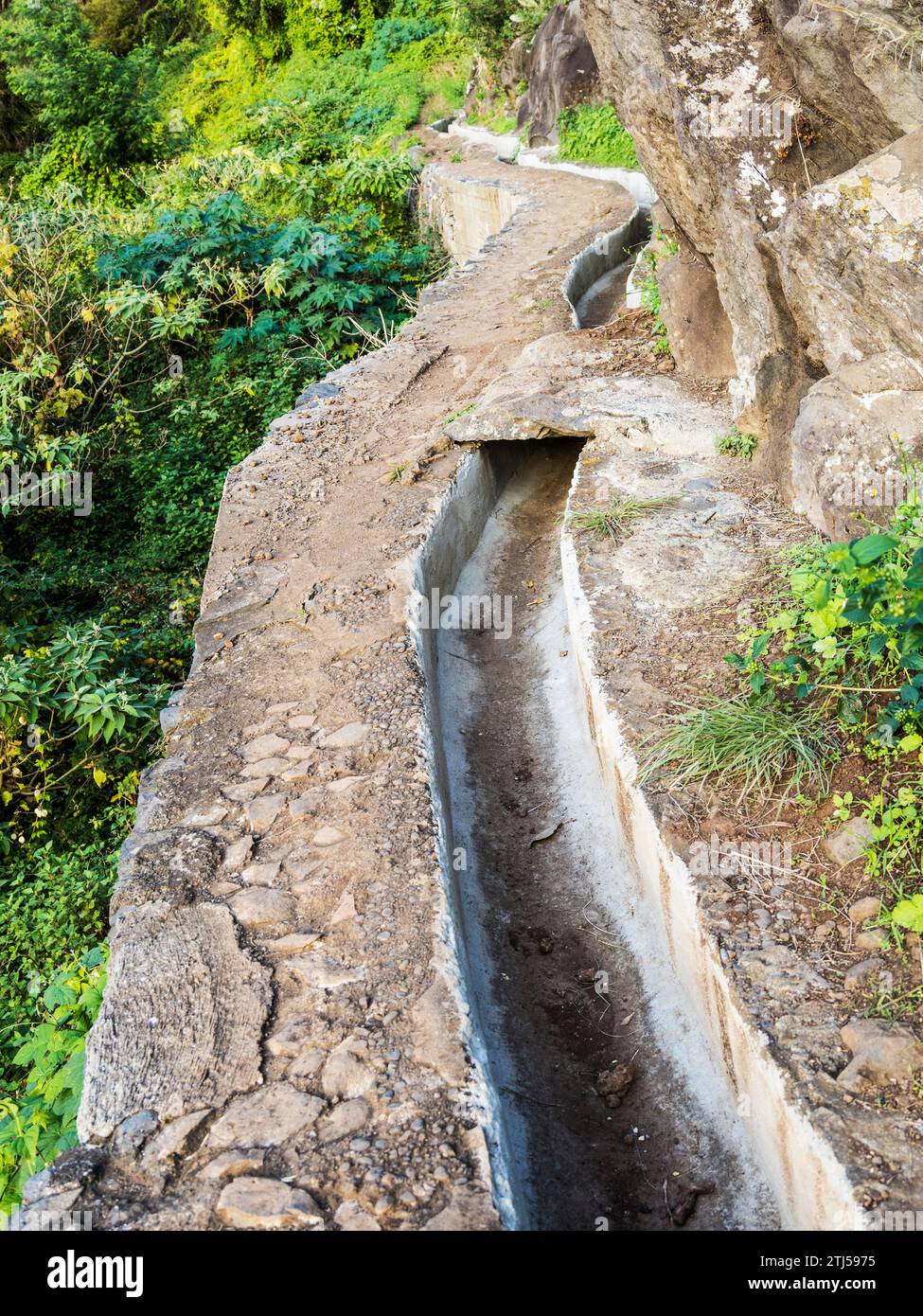 La passeggiata in levada da Monte a Funchal a Madeira, conosciuta come Levada do Bom successo e zona Velha. Foto Stock