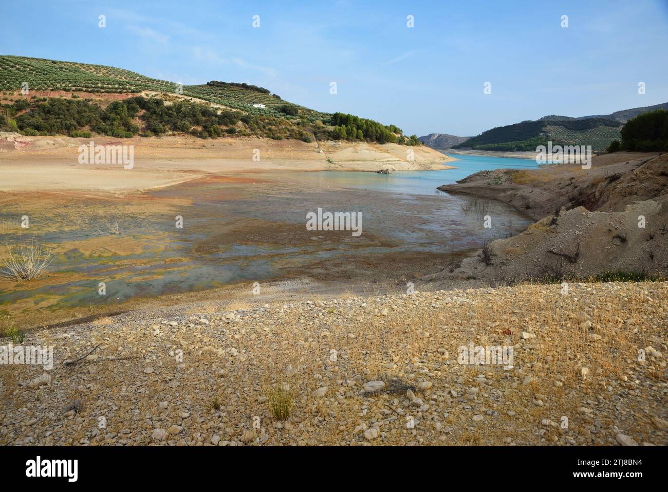 Serbatoio di Colomera con livello dell'acqua molto basso a causa della siccità. Benalúa de las Villas, Granada, Andalucía, Spagna, Europa Foto Stock