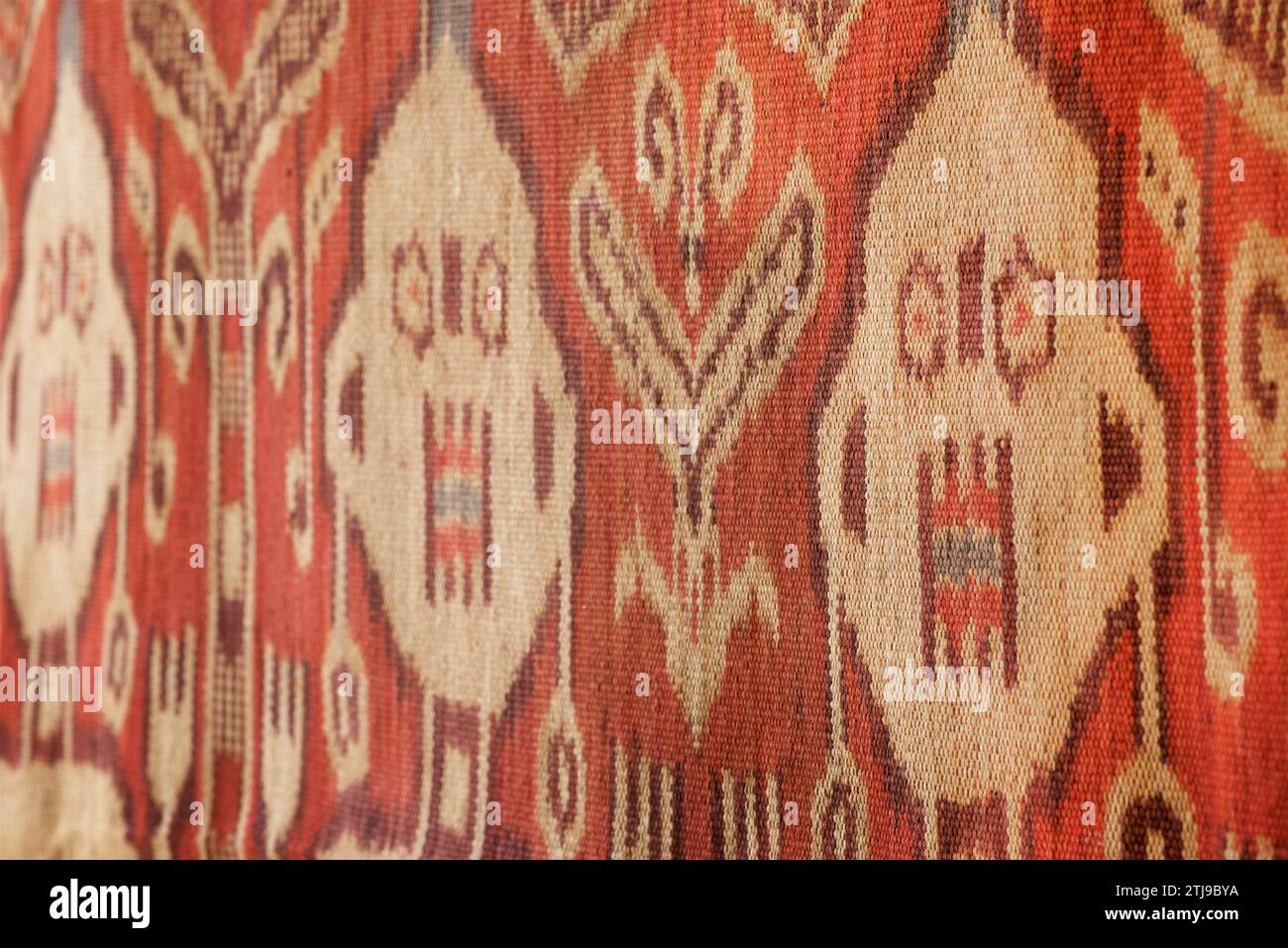 Figure antropomorfe. Dettaglio di un ikat ordito decorato Pua Kumbu, un IBAN, Dayak, tessuto cerimoniale del Borneo. Gli IBAN vivono sia a Sarawak, in Malesia, che a Kalimantan, in Indonesia. Proprietà rilasciata. Foto Stock