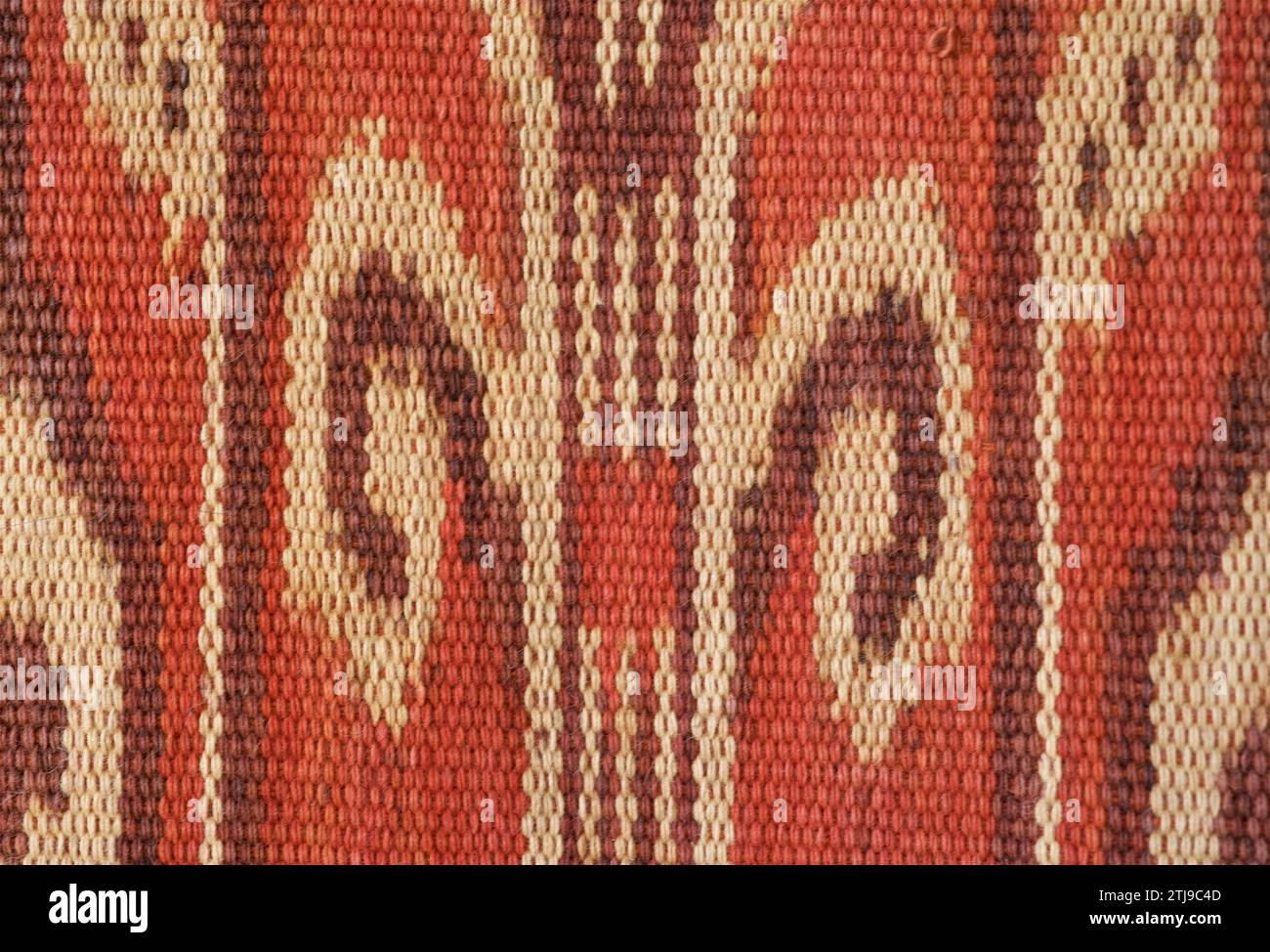 Dettaglio di ordito ikat decorato Pua Kumbu con motivi che rappresentano fronde di fogliame. Un IBAN, Dayak, tessuto cerimoniale del Borneo. Gli IBAN vivono sia a Sarawak, in Malesia, che a Kalimantan, in Indonesia. Proprietà rilasciata. Foto Stock