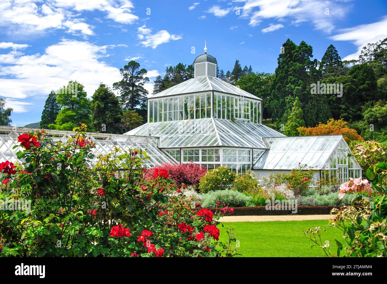 Giardino invernale di Serra da giardini di rose, Dunedin Botanical Gardens, Dunedin, Otago, Isola del Sud, Nuova Zelanda Foto Stock