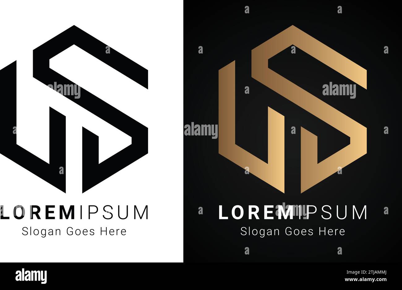 Design del logo con lettera di testo monogramma LS o SL iniziale di lusso Illustrazione Vettoriale