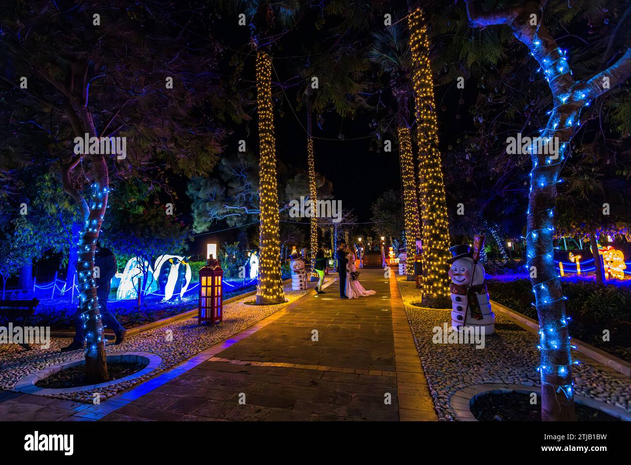 I giardini illuminati della Villa Rundle a Victoria, Gozo, Malta, sono un punto fotografico popolare per le coppie di sposi durante la stagione natalizia. File di alberi avvolti nella luce costeggiano il percorso principale dei giardini festosamente decorati. Foto Stock