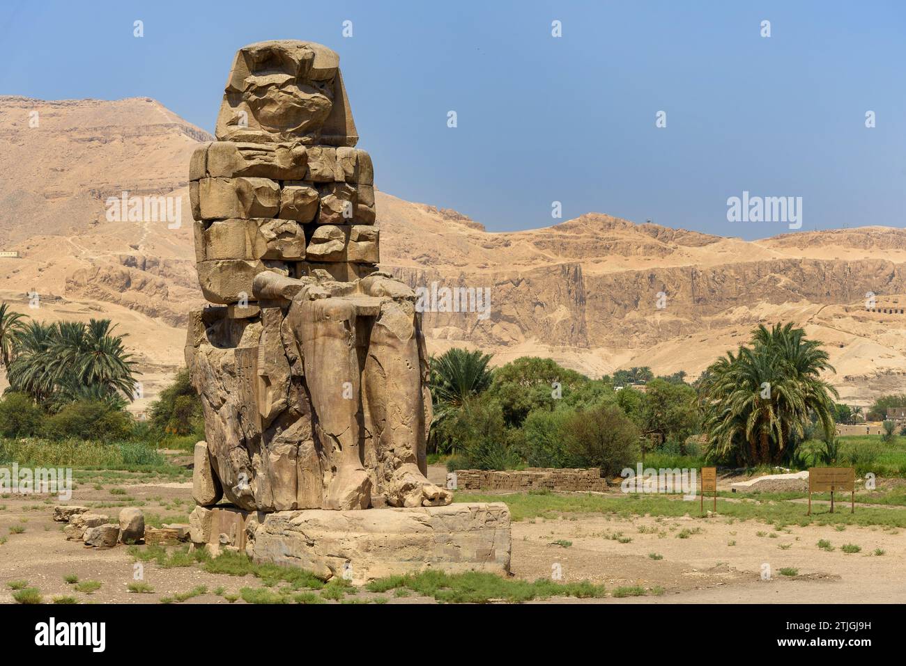 Uno dei due Colossi di Memnone. Si tratta di un'enorme statua in pietra del faraone Amenofi III, che si trova di fronte alle rovine del Tempio mortuario di Amenofi III Al Qurnah, New Valley, Egitto Foto Stock