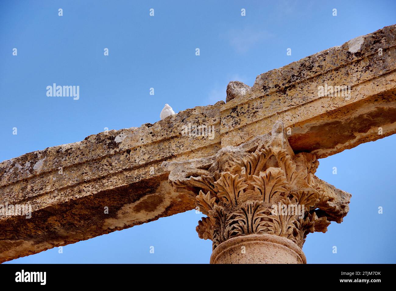 L'anfiteatro romano di Jerash (arabo: جرش Ǧaraš; greco: Γέρασα, romanizzato: Gérasa; greco attico: [Gérasa], greco Koinē: [ˈgerasa]) è una città della Giordania settentrionale. La città è il centro amministrativo del Governatorato di Jerash e ha una popolazione di 50.745 abitanti nel 2015. Si trova a 48 chilometri (30 miglia) a nord della capitale Amman. Credito: JHelebrant Foto Stock