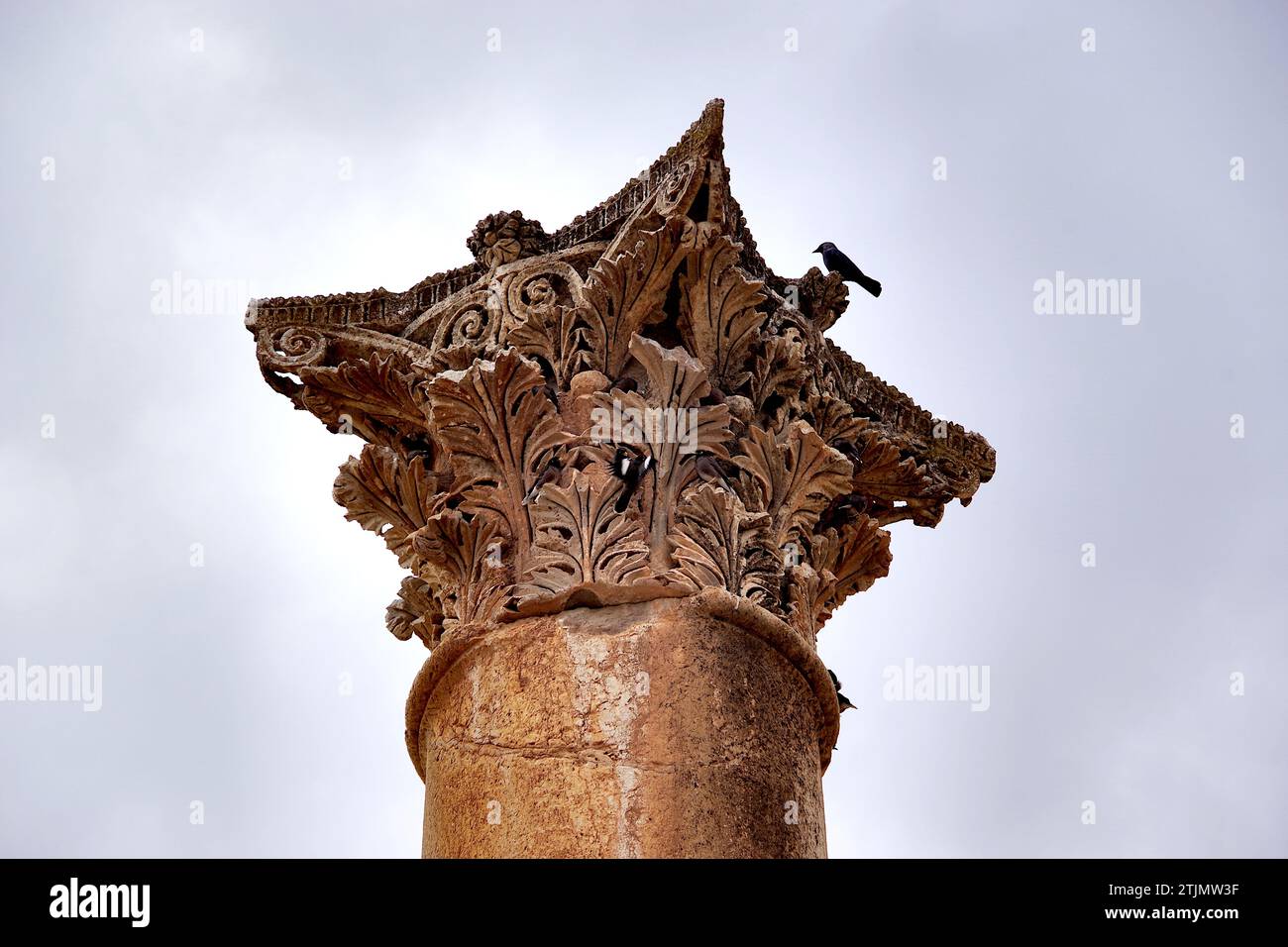 Jerash (arabo: جرش Ǧaraš; greco: Γέρασα, romanizzato: Gérasa; greco attico: [Gérasa], greco Koinē: [ˈgerasa]) è una città della Giordania settentrionale. La città è il centro amministrativo del Governatorato di Jerash e ha una popolazione di 50.745 abitanti nel 2015. Si trova a 48 chilometri (30 miglia) a nord della capitale Amman. Capitale romana in cima a una colonna. Credito: JHelebrant Foto Stock