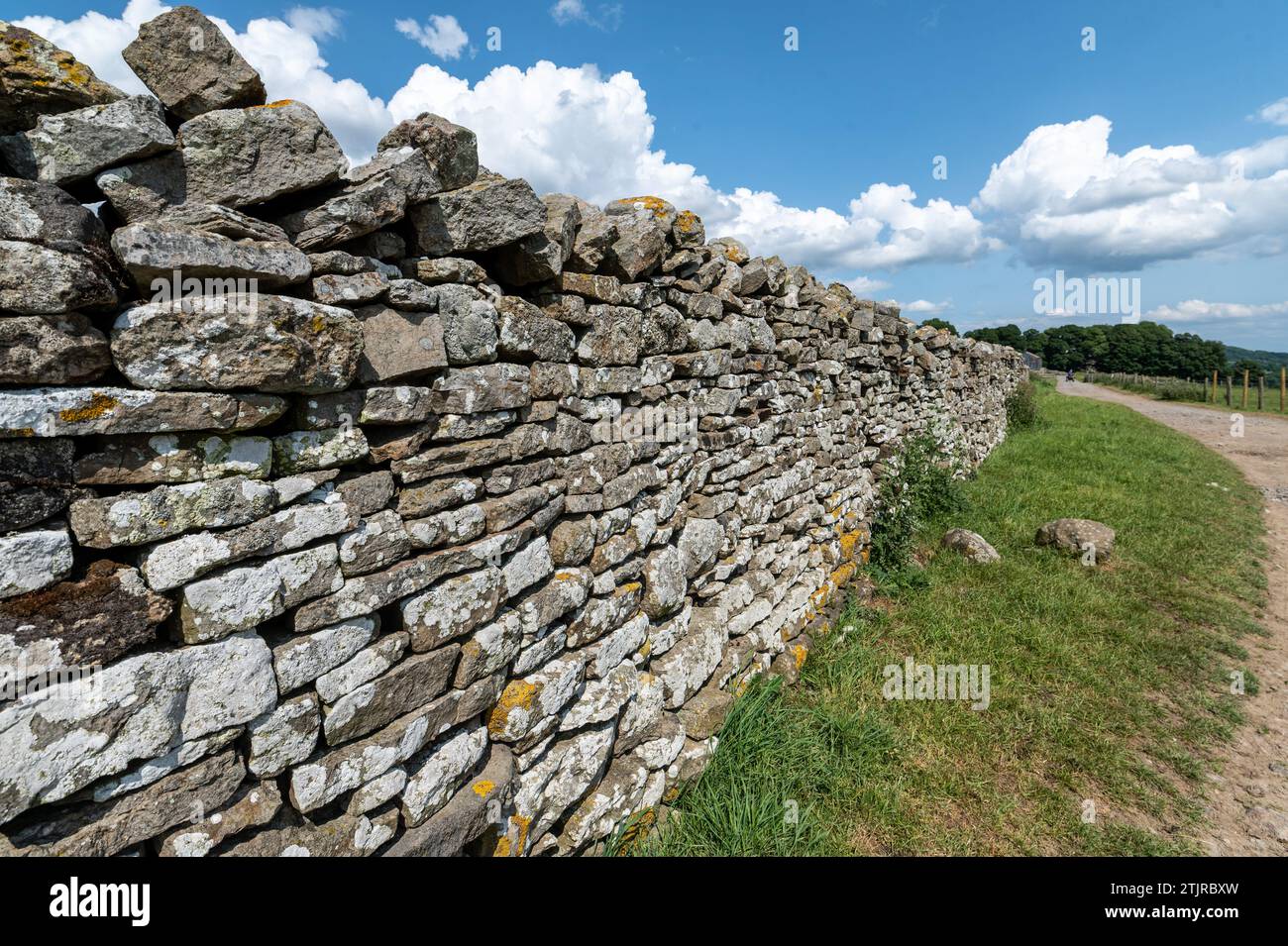 Stone Wall nello Yorkshire Dales, Inghilterra Foto Stock