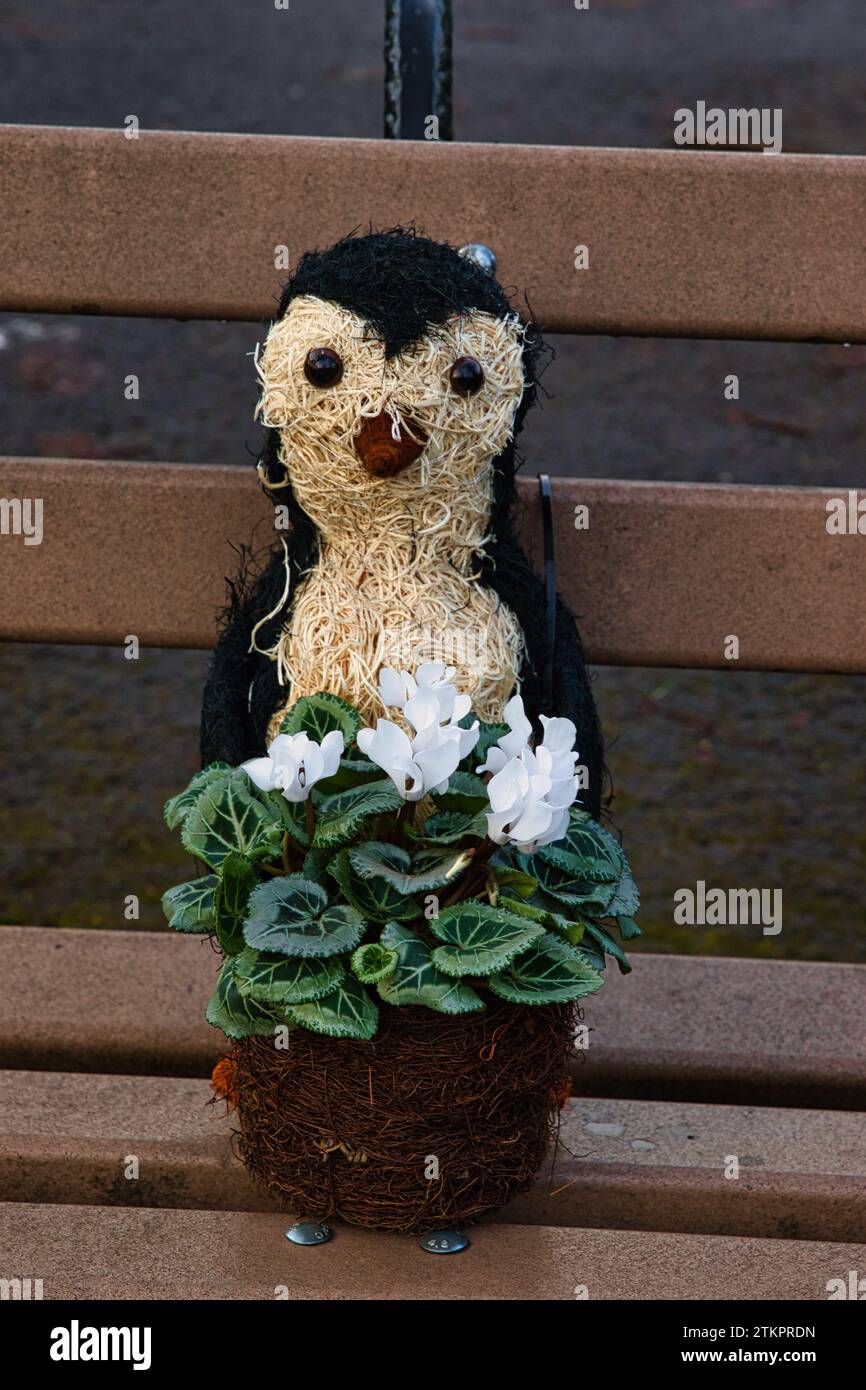 Bellissime decorazioni scattate durante il periodo natalizio Foto Stock