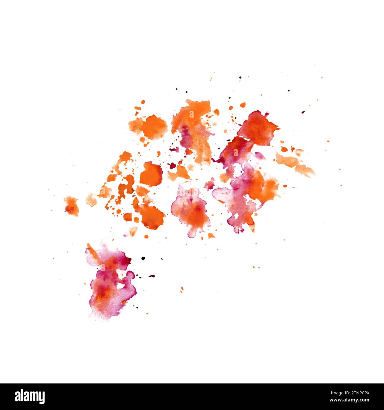 Schizzi eleganti, spruzzi di vernice arancione e rosa per uno sfondo astratto. Illustrazione acquerello isolata su sfondo bianco. Collezione World Art Day Foto Stock