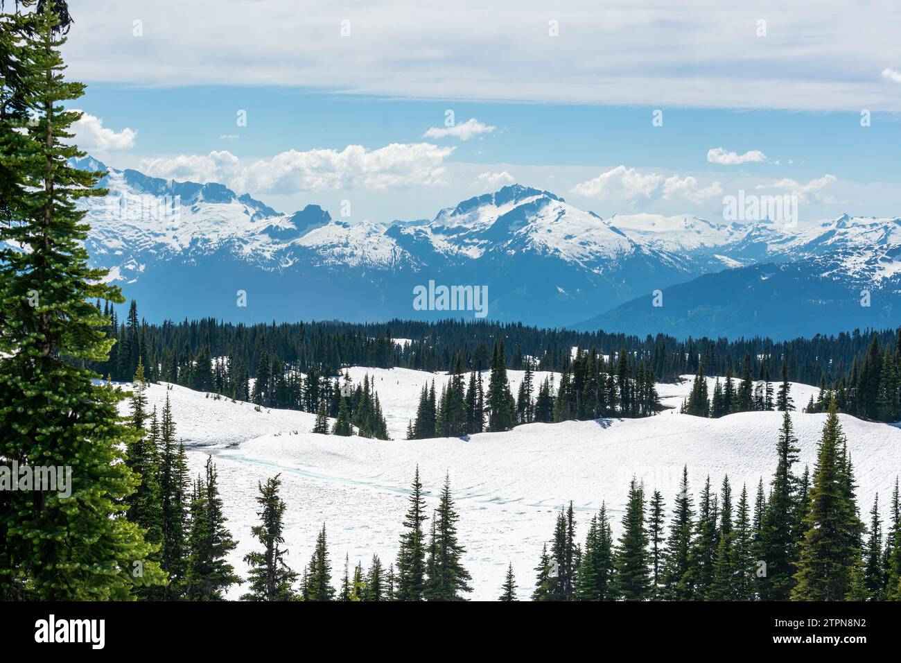 La neve ricopre i pendii alpini con l'aspra catena Garibaldi sullo sfondo Foto Stock