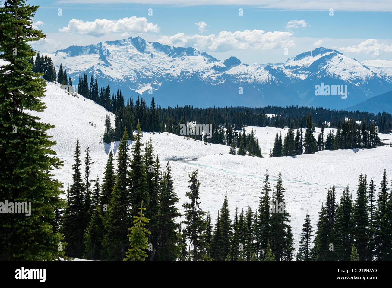 La neve ricopre i pendii alpini con l'aspra catena Garibaldi sullo sfondo Foto Stock