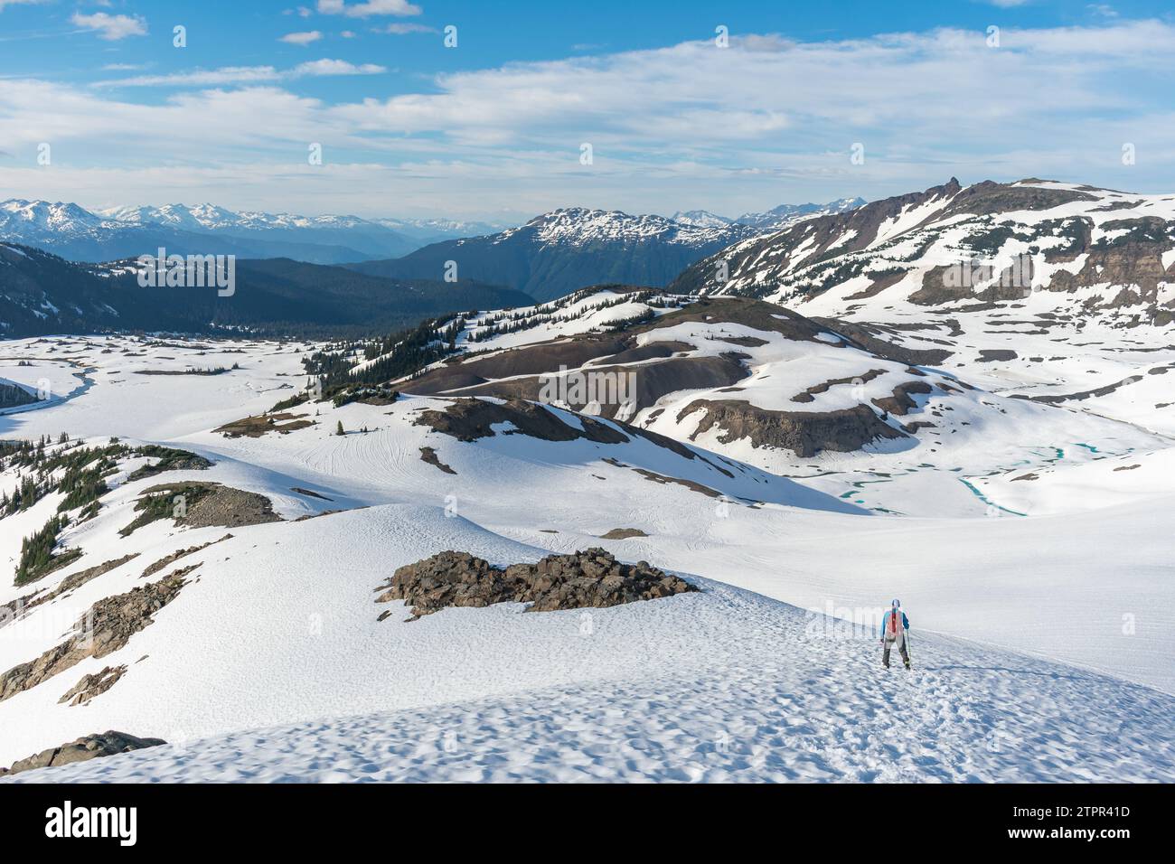 L'avventuriero scende sulle piste innevate di Panorama Ridge nella splendida British Columbia. Foto Stock