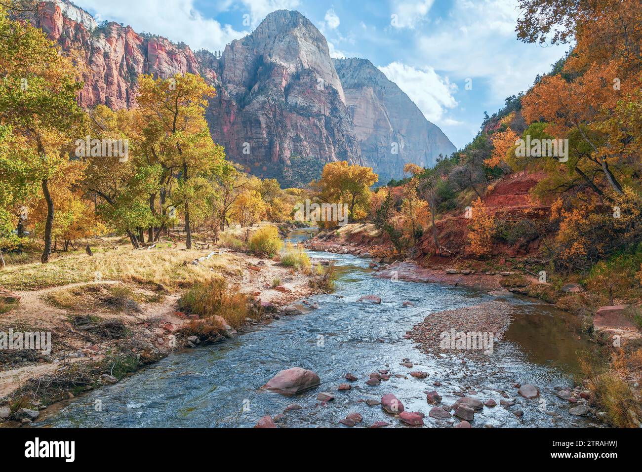North Fork Virgin River e le montagne circostanti nel Parco Nazionale di Zion. Utah. STATI UNITI Foto Stock