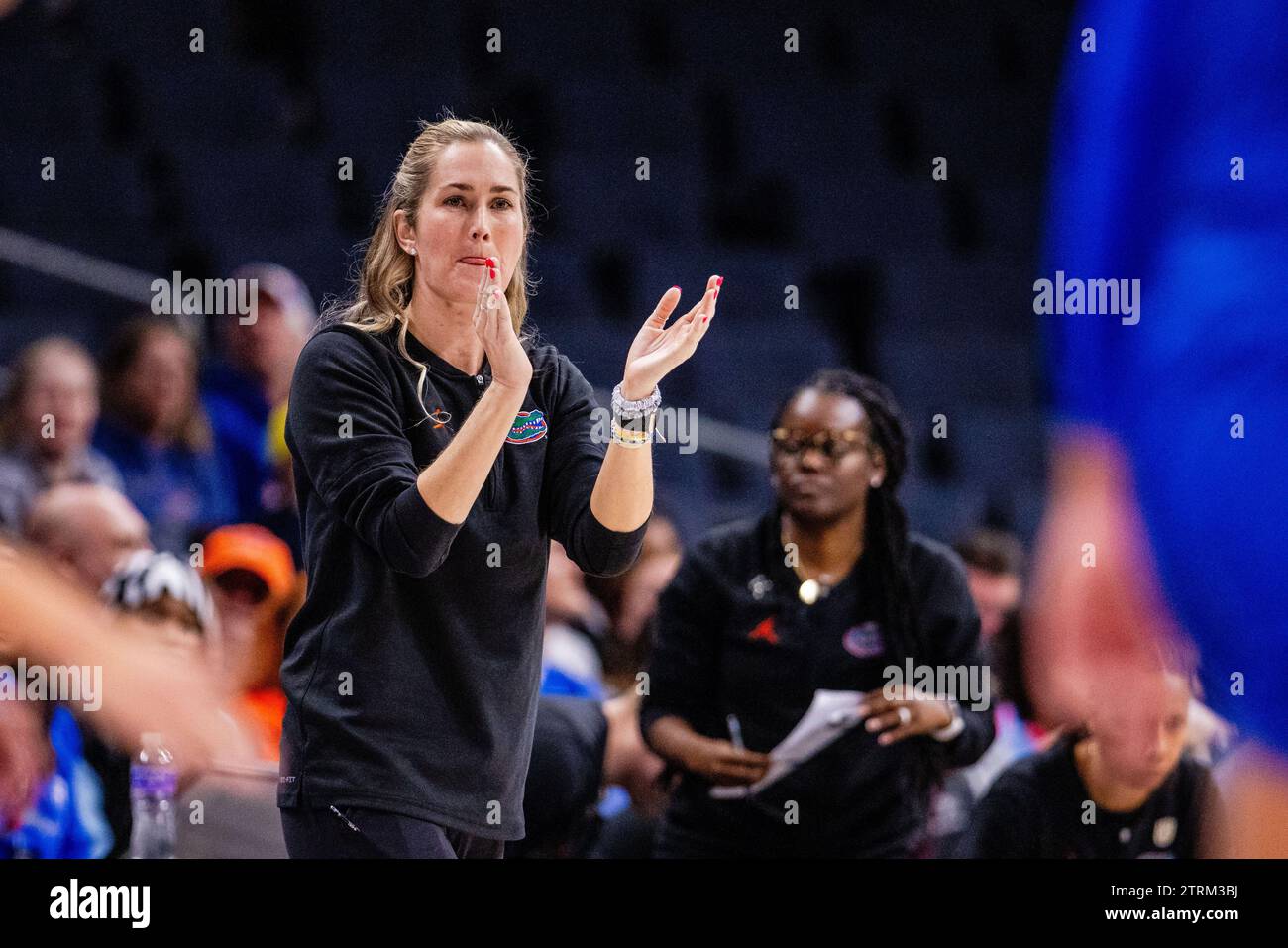 Charlotte, NC, USA. 20 dicembre 2023. L'allenatore dei Florida Gators Kelly Rae Finley applaude dopo un punteggio contro i Michigan Wolverines nel Jumpman Invitational 2023 allo Spectrum Center di Charlotte, NC. (Scott Kinser/CSM). Credito: csm/Alamy Live News Foto Stock