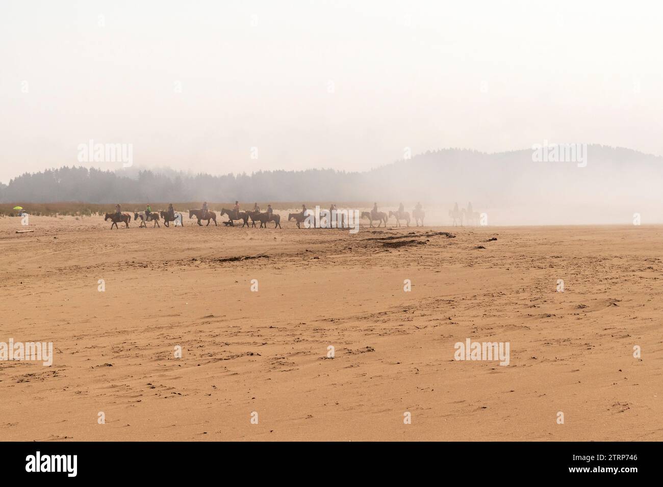 Un gruppo di cavalli e cavalieri cammina nella nebbia lungo la spiaggia di Long Beach, Washington, USA. Foto Stock