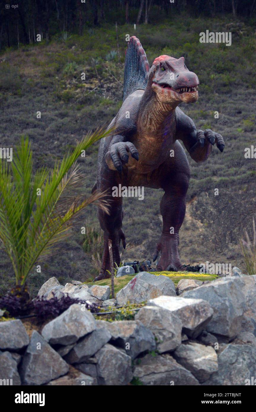 PAUTE-PARQUE JURASICO Cuenca, Ecuador 20 de diciembre de 2023 Paute, abrira sus puertas en el Barrio Pirincay en el canton Paute a Tourist as nacionales e internacionales. Este vierbes 22 de diciembre, 13 dinosaurios robotizados actualmente estan colocados en un parque de 2 hectareas. Las figuras robots llegaron importadas desde China para Recreation ar un parque jurasico en los alrededores del barrio Pirincay, el mismo esta ubicado al lado izquierdo de la via Interoceanica que conduce a Paute. Las 13 fuguras de dinosaurios estan ubicadas en cinco terrazas, las cuales han sido construidas para resaltar Foto Stock