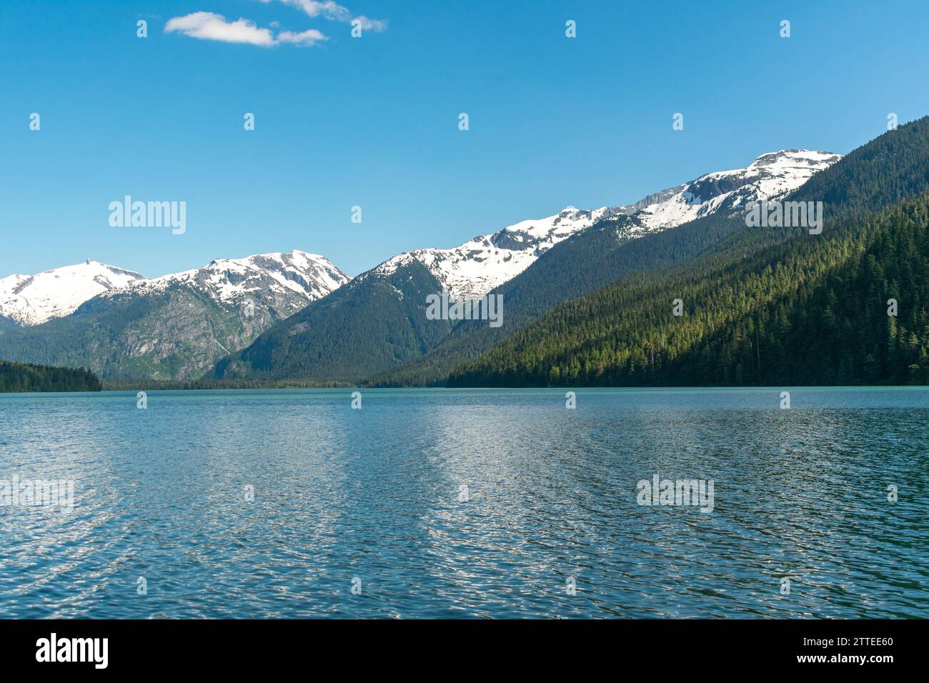 La tranquilla distesa del lago Cheakamus rispecchia le montagne innevate circostanti sotto gli ampi cieli blu della Columbia Britannica. Foto Stock