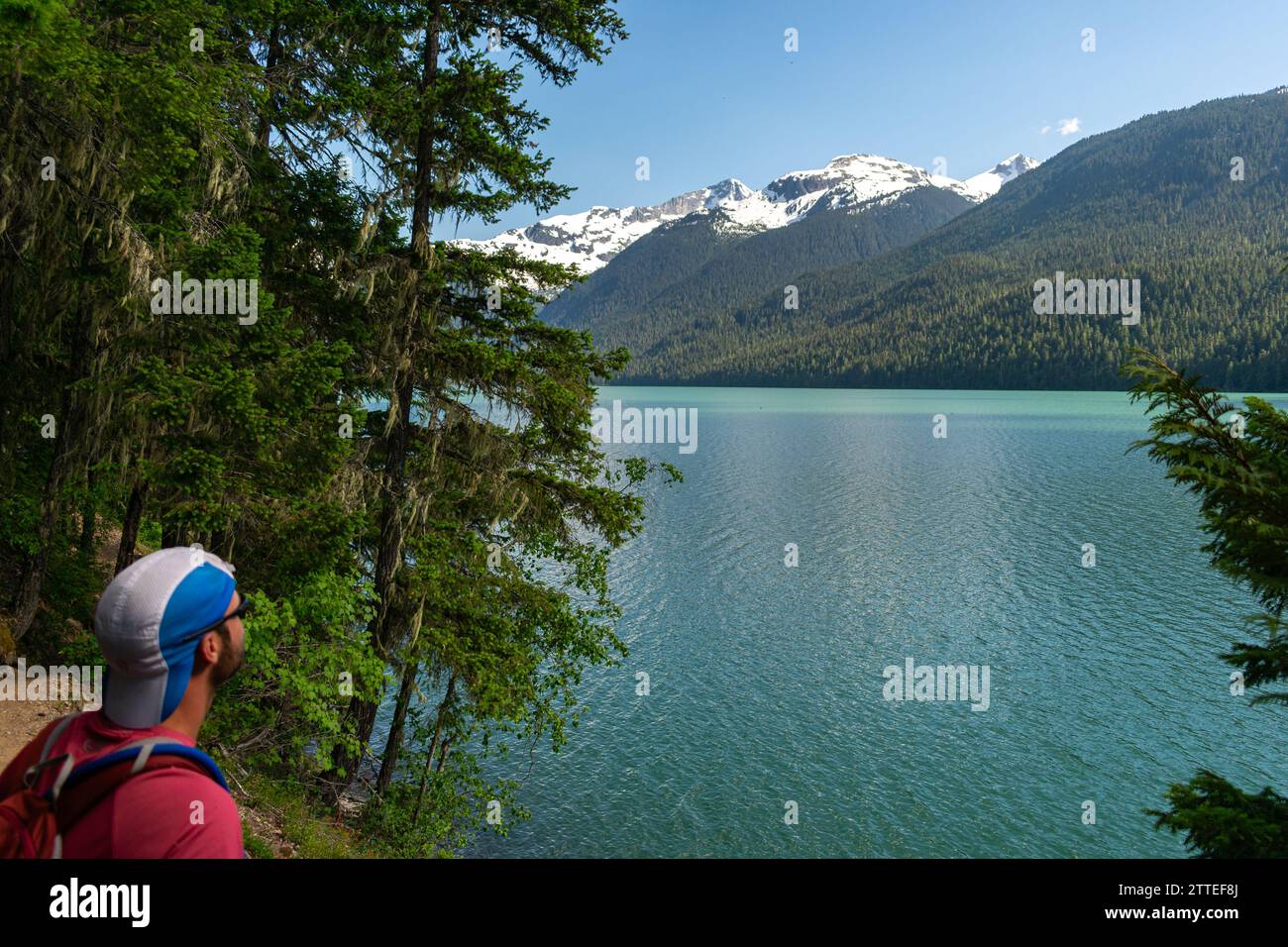 Un escursionista osserva le tranquille acque turchesi del lago Cheakamus, abbracciate dalle lussureggianti foreste delle Montagne Rocciose canadesi. Foto Stock