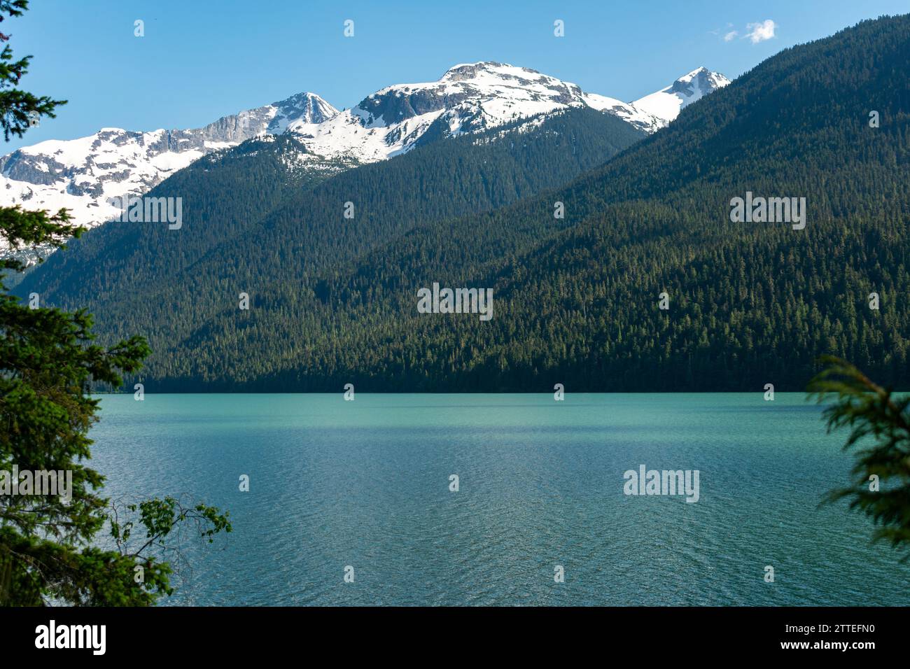 Le acque turchesi del lago Cheakamus completano i panorami innevati delle montagne della vastissima natura selvaggia della British Columbia. Foto Stock