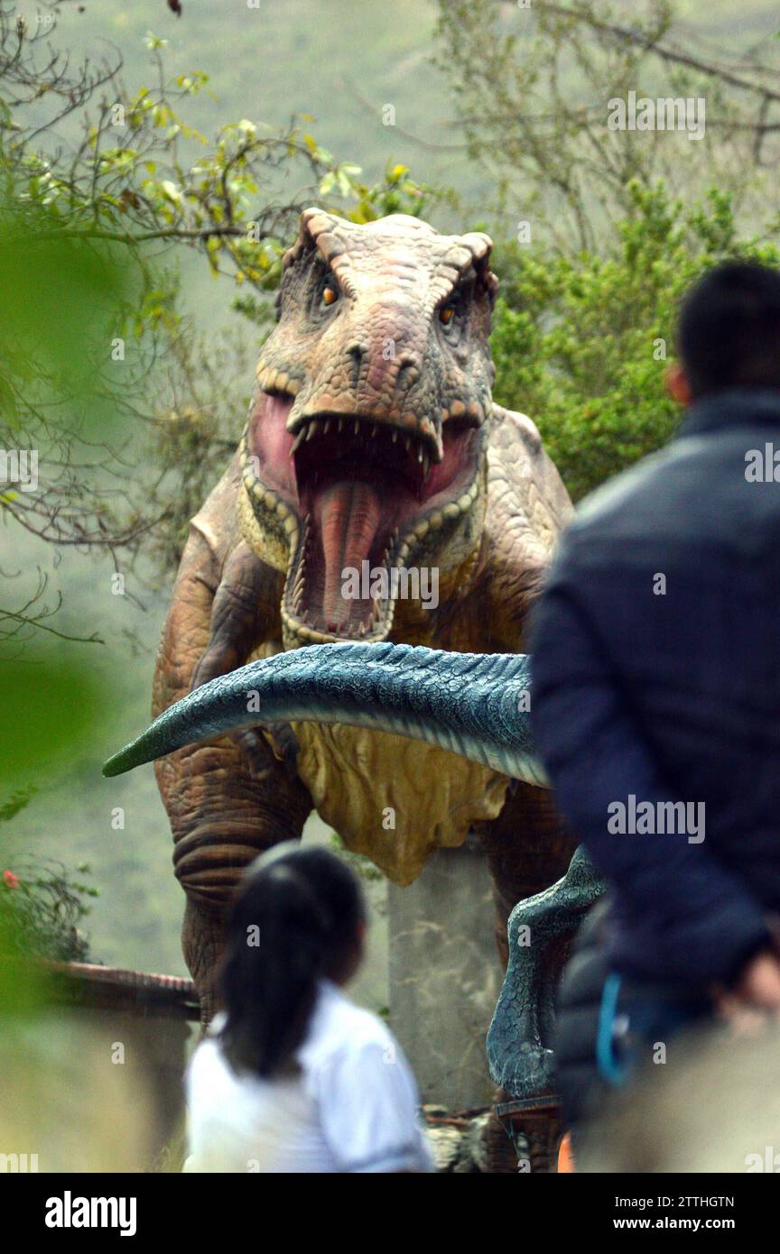 PAUTE-PARQUE JURASICO Cuenca, Ecuador 20 de diciembre de 2023 Paute, abrira sus puertas en el Barrio Pirincay en el canton Paute a Tourist as nacionales e internacionales. Este vierbes 22 de diciembre, 13 dinosaurios robotizados actualmente estan colocados en un parque de 2 hectareas. Las figuras robots llegaron importadas desde China para Recreation ar un parque jurasico en los alrededores del barrio Pirincay, el mismo esta ubicado al lado izquierdo de la via Interoceanica que conduce a Paute. Las 13 fuguras de dinosaurios estan ubicadas en cinco terrazas, las cuales han sido construidas para resaltar Foto Stock