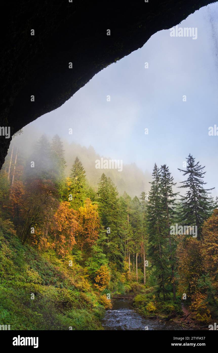 Fiume che attraversa il Silver Falls State Park, Oregon Foto Stock