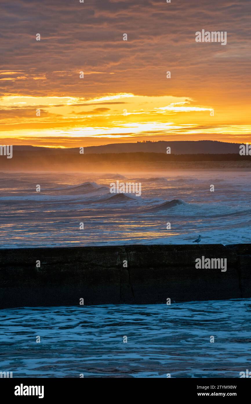 Alba invernale sul mare ventoso di East Beach. Lossiemouth, Morayshire, Scozia. Foto Stock