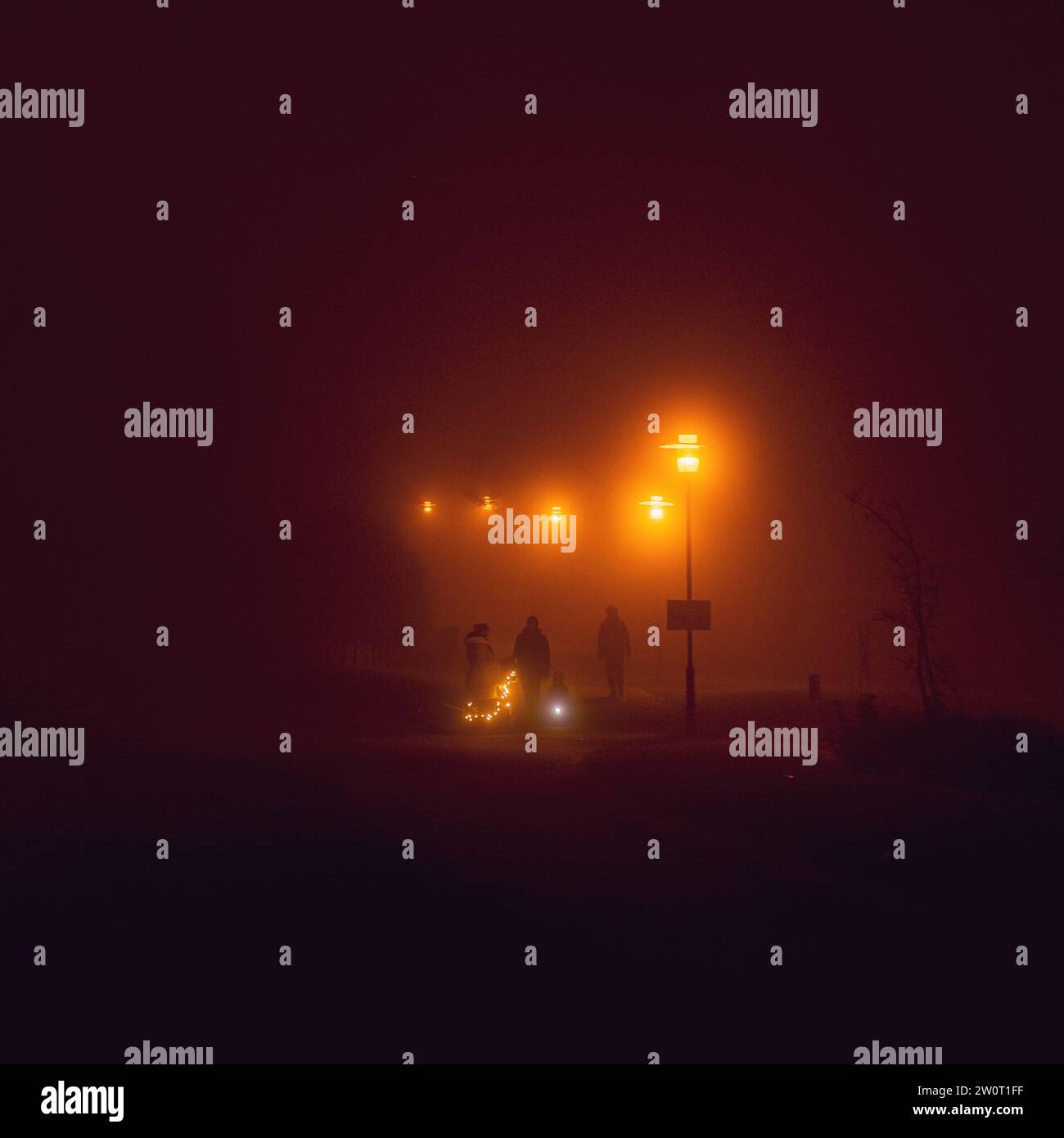 persone nel parco in una notte nebbia Foto Stock