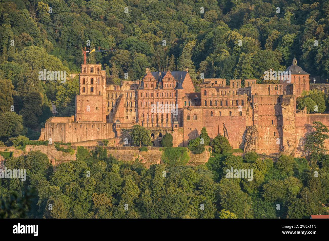 Schloss, Heidelberg, Baden-Württemberg, Deutschland Foto Stock