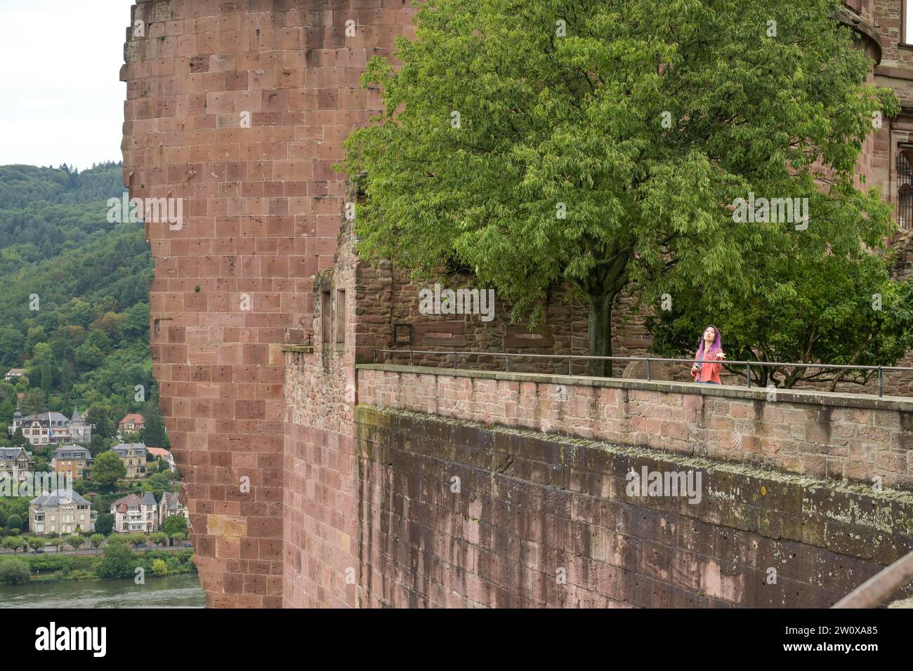 Aussichtsterrasse, Stückgarten, Schloss Heidelberg, Baden-Württemberg, Deutschland Foto Stock