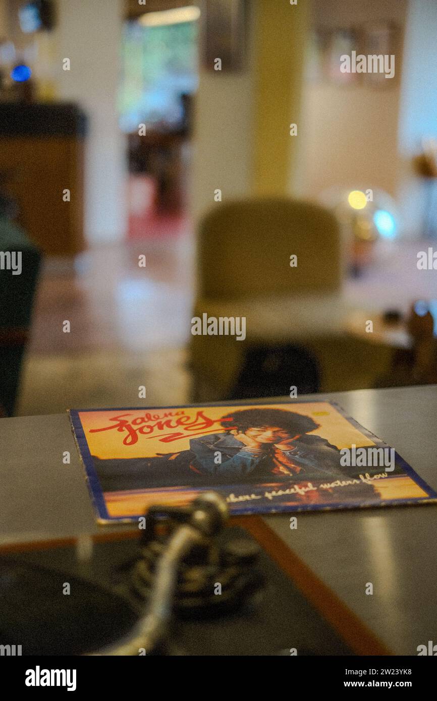 Immergiti nelle atmosfere d'anima del passato con un primo piano granuloso della copertina di un album di Salena Jones. I dettagli testurizzati evocano un'emotio nostalgica Foto Stock