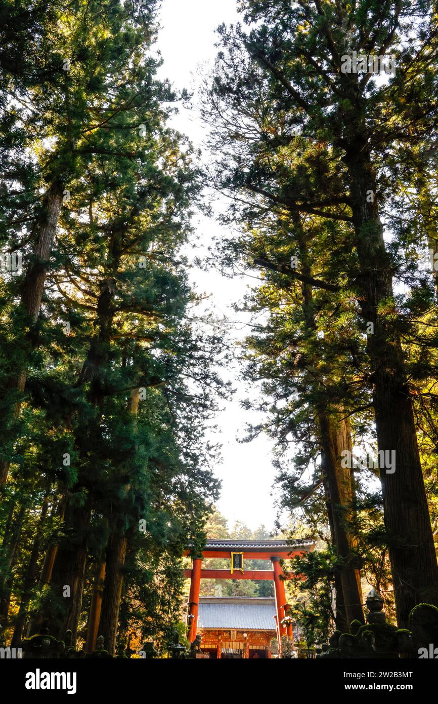 KITAGUCHI HONGU FUJI SENGEN SHRINE JAPON Foto Stock