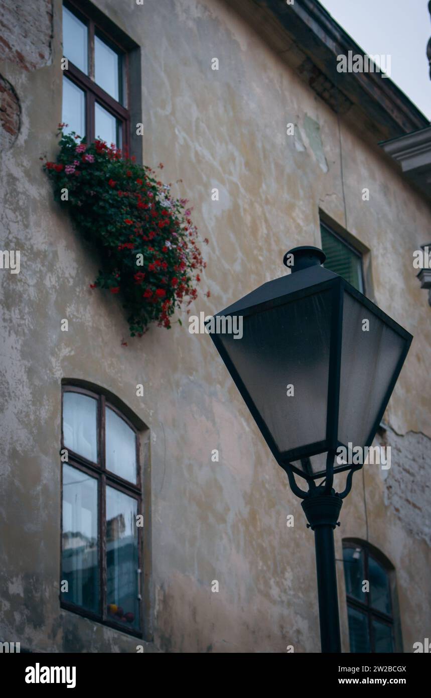 Lampione nella città vecchia con vaso di fiori sul muro. Punto di riferimento della città vecchia di Leopoli. Lanterna di strada su sfondo murale beige. Casa residenziale medievale Foto Stock