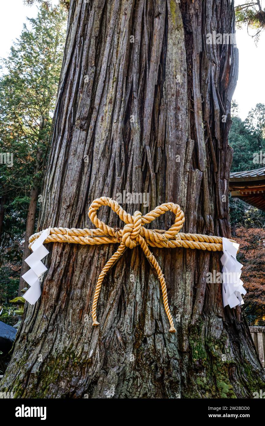 KITAGUCHI HONGU FUJI SENGEN SHRINE JAPON Foto Stock