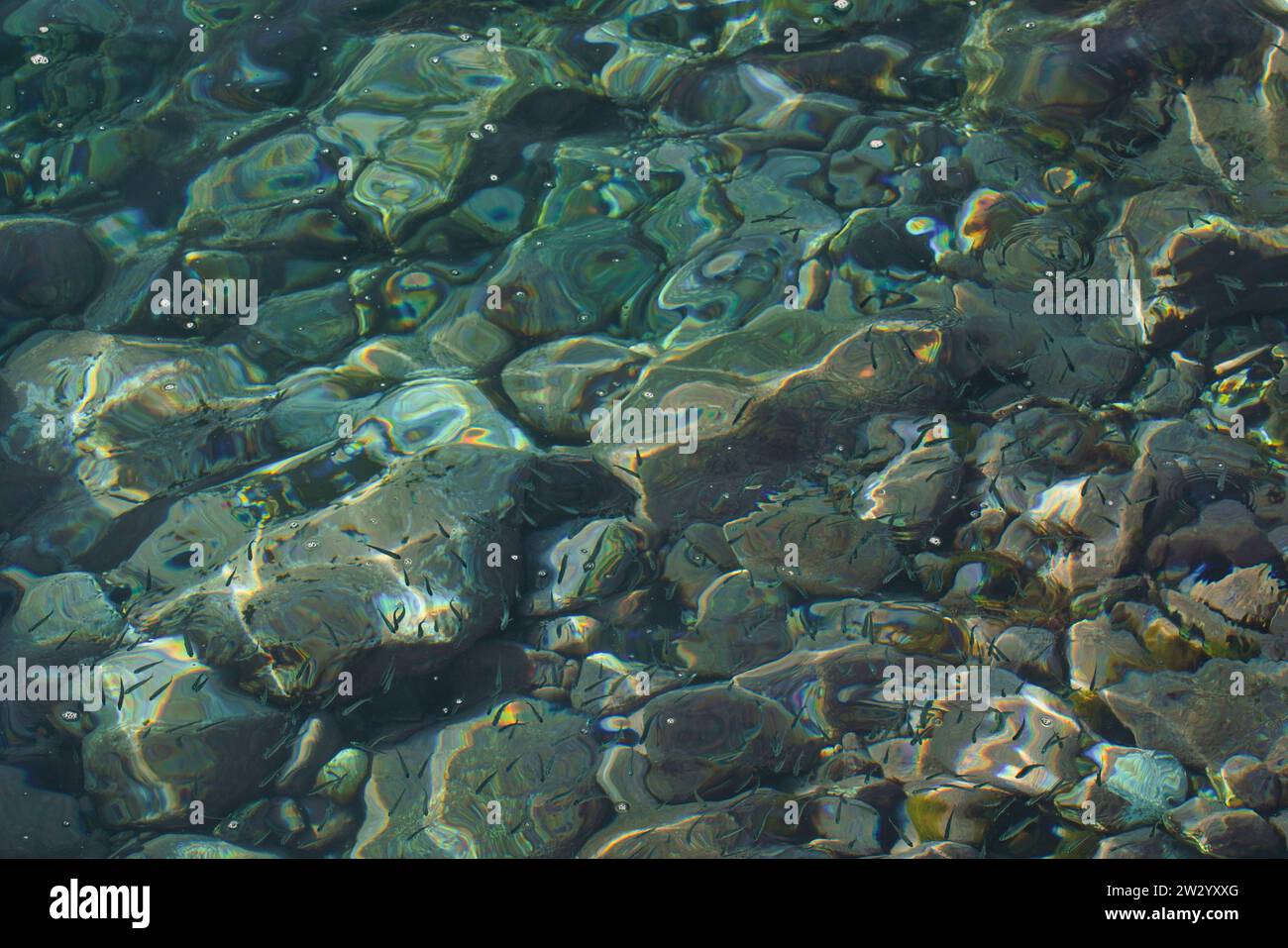 Serenità costiera: Rocce marine che resistono al dolce abbraccio di piccole onde lungo la riva. Foto Stock