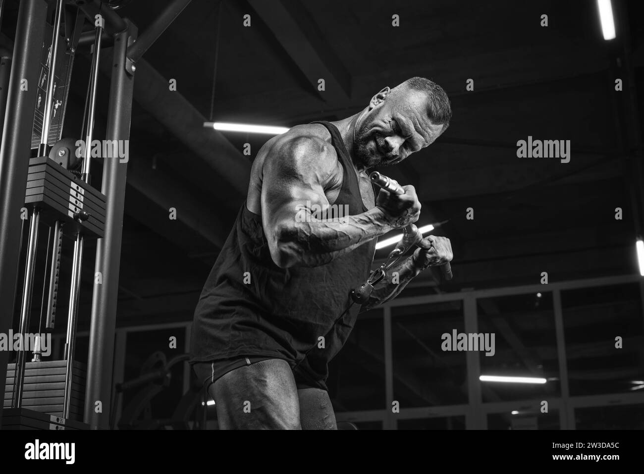 Immagine di un potente atleta che si sta allenando in un crossover in palestra. Pompaggio bicipite. Concetto di fitness e bodybuilding Foto Stock Immagine di un potente atleta che si sta allenando in un crossover in palestra. Pompaggio bicipite. Concetto di fitness e bodybuilding Foto Stock