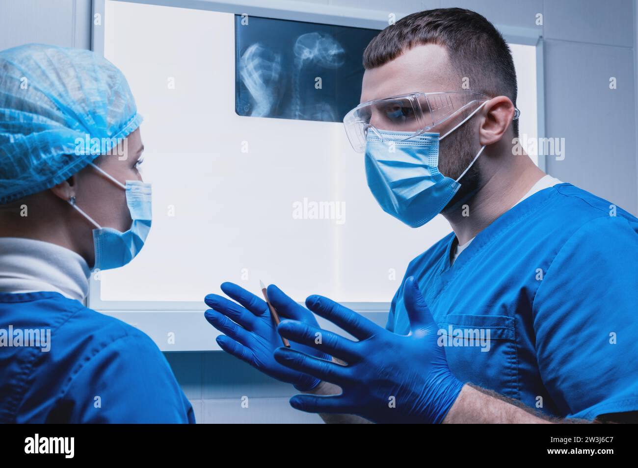 Un medico maschio e un'infermiera femminile si trovano vicino a un negatoscopio ed esaminano una radiografia di un animale ferito. Concetto di medicina veterinaria. Supporti misti Foto Stock