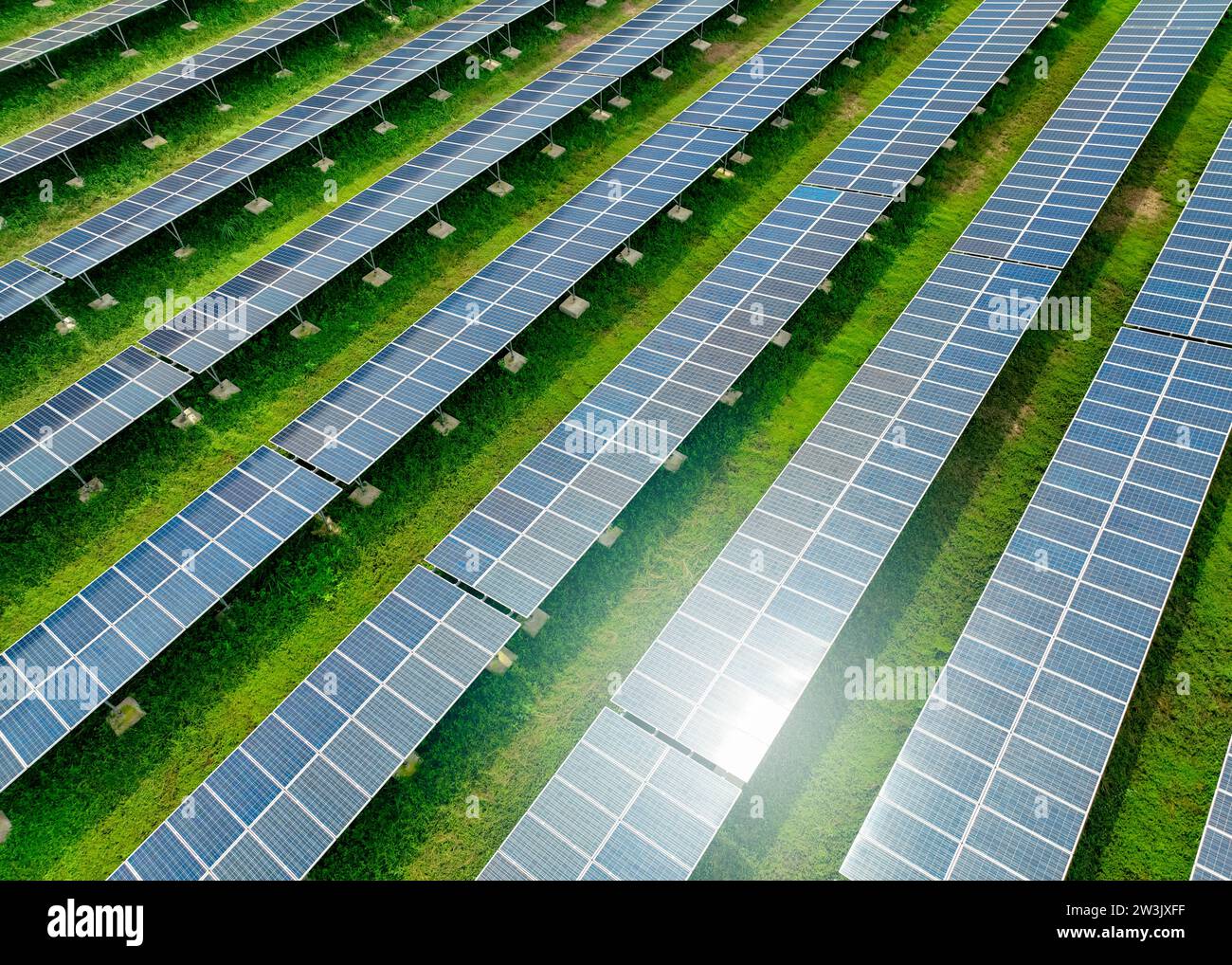 Fattoria solare e luce solare. Energia solare per energia verde. Energie rinnovabili sostenibili. Centrale fotovoltaica o parco solare. Montaggio pannello solare Foto Stock