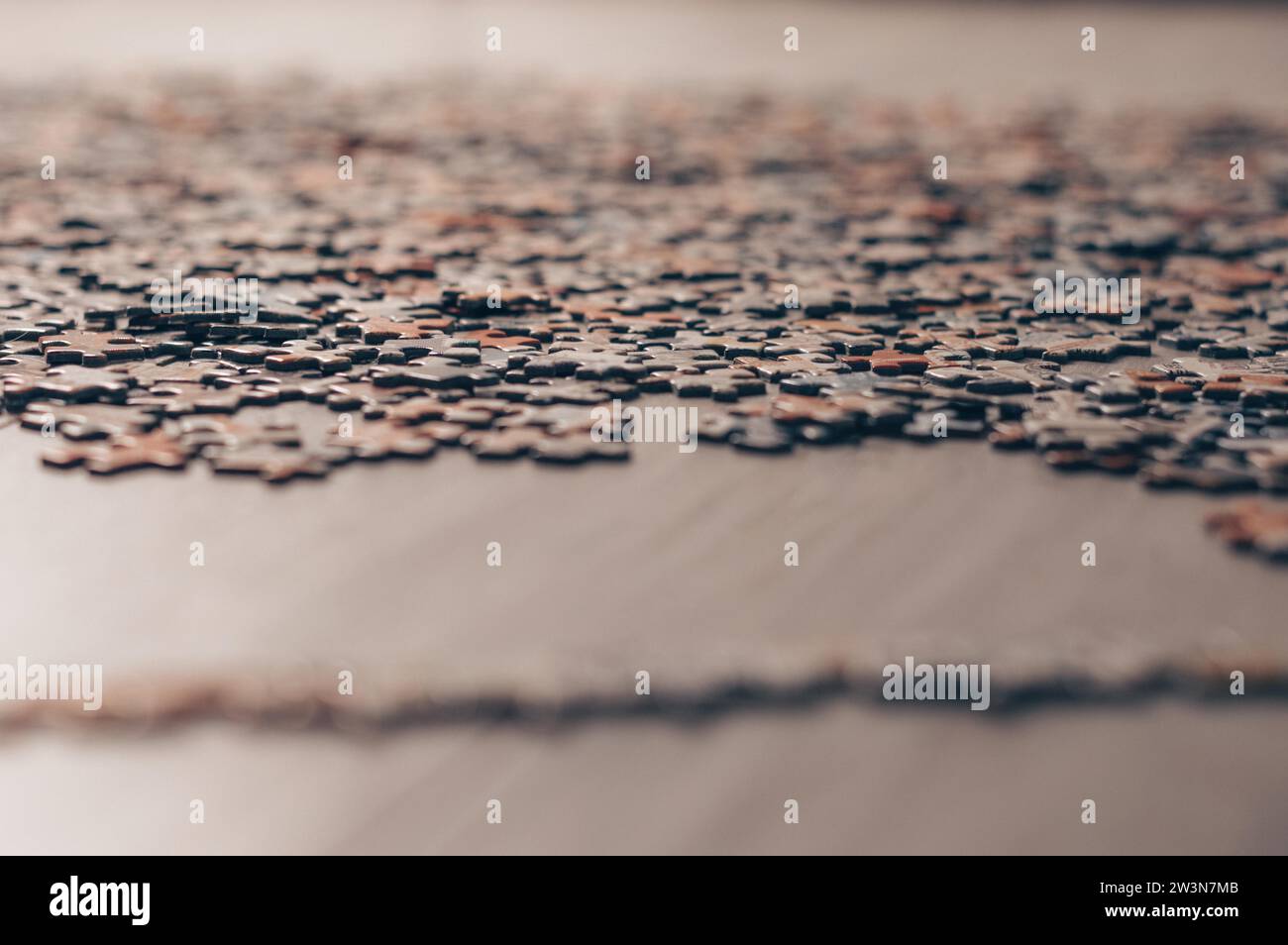 I rompicapo sono recintati dal bordo. Il concetto di frontiere chiuse, epidemie, diffusione di malattie. Autoisolamento. Supporti misti Foto Stock