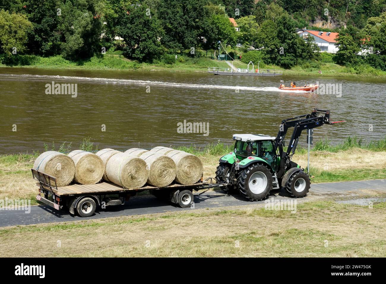 Un trattore trasporta balle secche di fieno da un prato falciato lungo la valle del fiume Elba in Sassonia, Germania Foto Stock