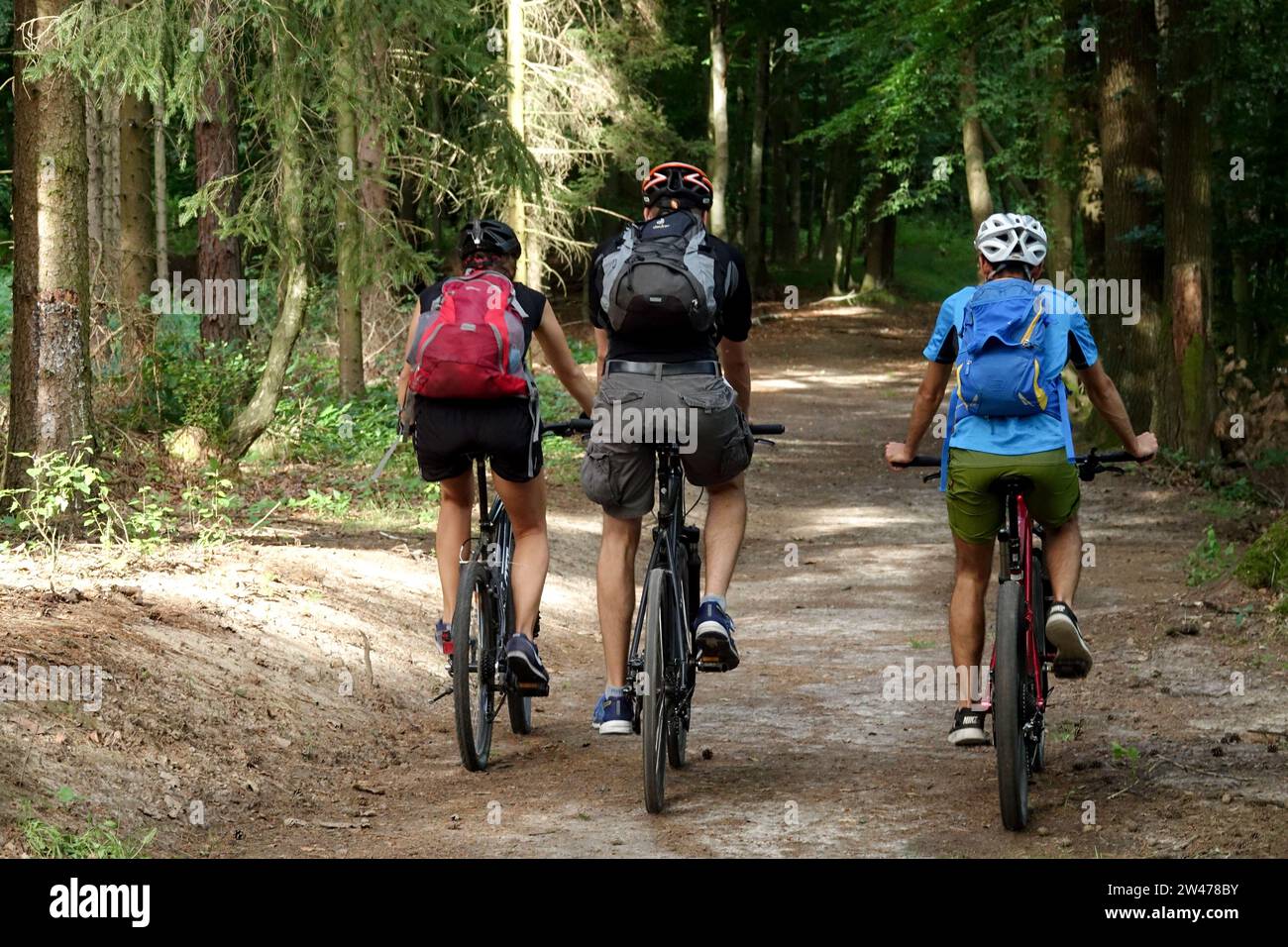 Giro in bicicletta nella foresta Foto Stock