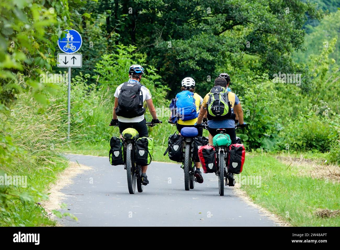 Un gruppo di giovani amici che cavalcano in bicicletta su una pista ciclabile conduce attraverso la natura. Visualizzazione ciclica posteriore Foto Stock