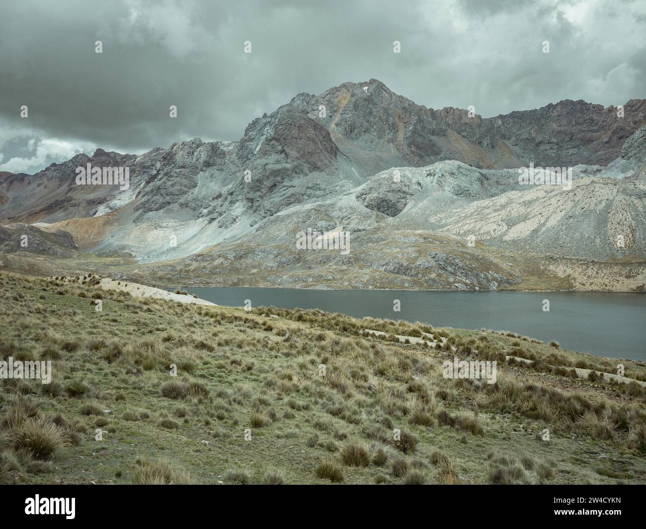Paesaggio negli altopiani andini vicino a Laguna Huacracocha, Ticlio, Perù Foto Stock