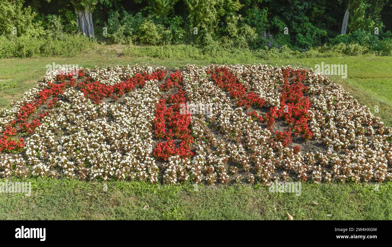 Blumen, MV, Märkisches Viertel, Reinickendorf, Berlino, Deutschland Foto Stock