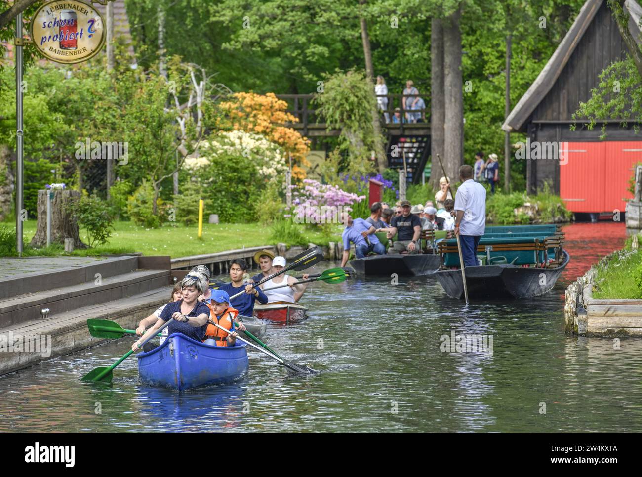 Paddelboote, Kahn, Lehder Fließ, Lehde, Lübbenau, Spreewald, Brandeburgo, Deutschland Foto Stock